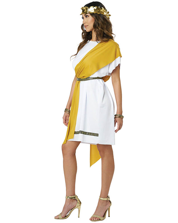 Classic Party Toga Adult Costume