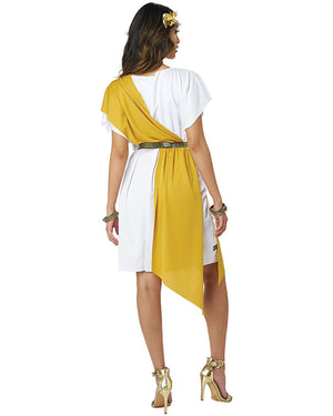 Classic Party Toga Adult Costume