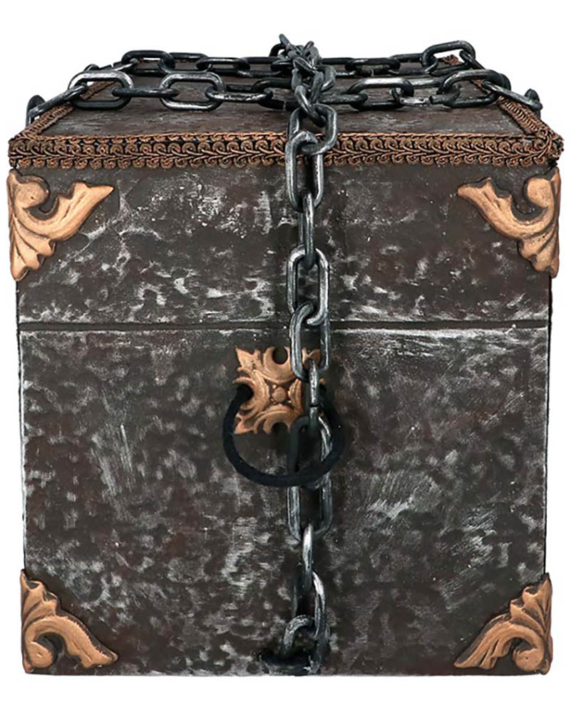 Pirate Box Animated Decoration