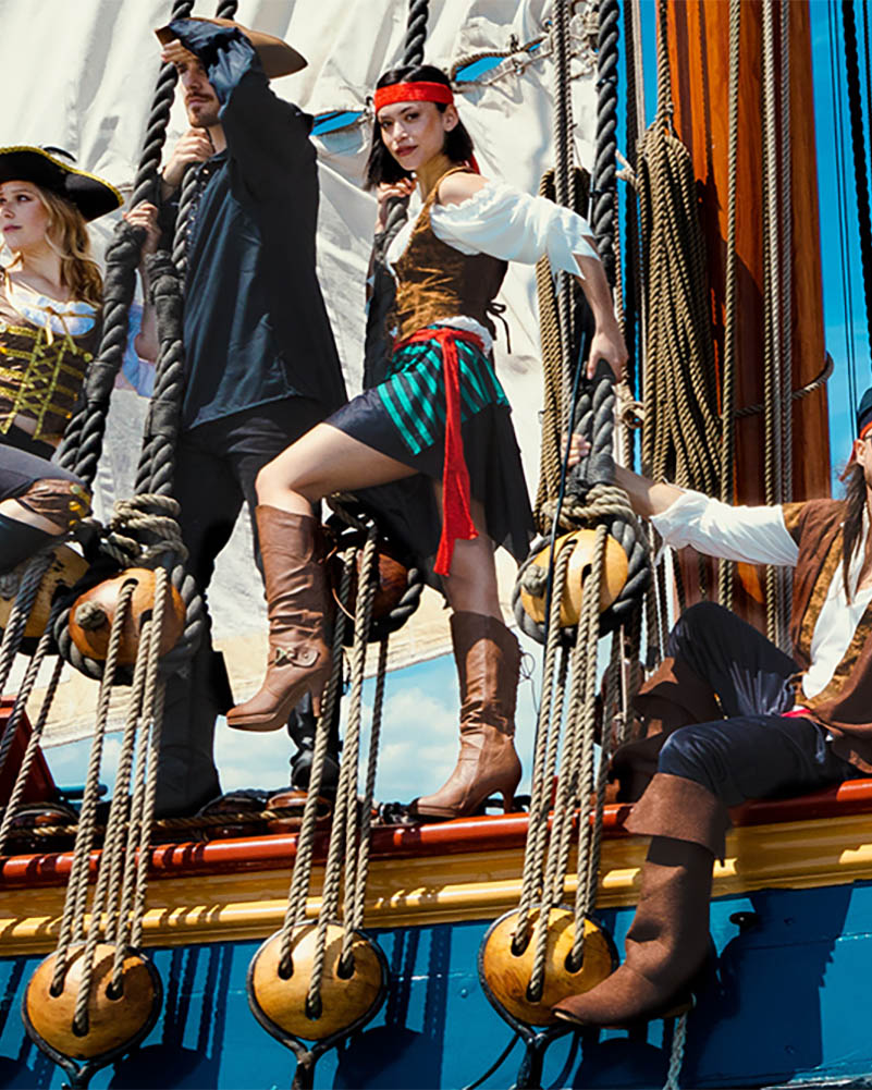 Pirate Storm Womens Costume