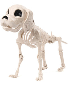 Posable Skeleton Puppy Halloween Decoration 25cm
