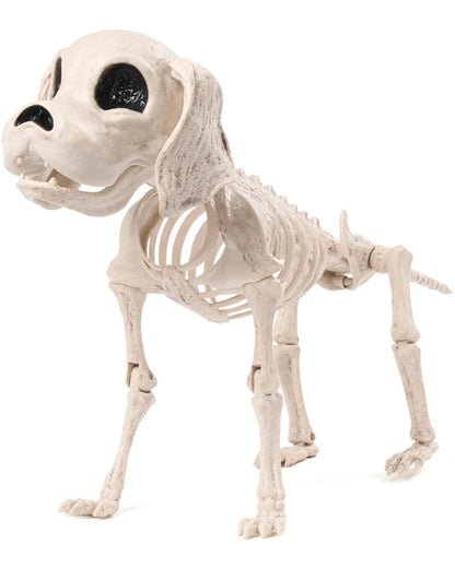 Posable Skeleton Puppy Decoration 25cm