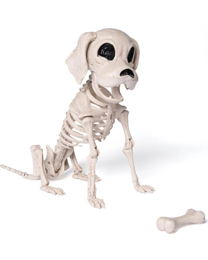 Posable Skeleton Puppy Decoration 25cm