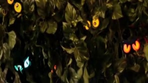 Haunted Hedge Prop