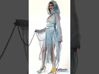 Haunting Beauty Womens Costume