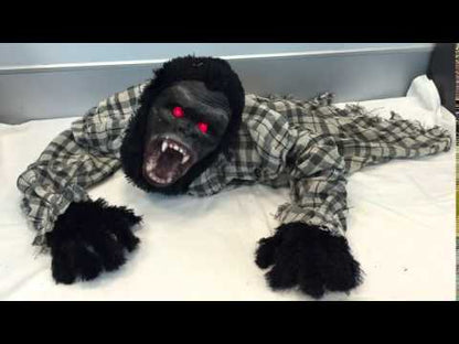 Gorilla with Light Up Eyes Animatronic 1.3m