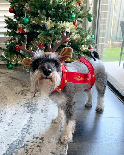 Reindeer Dog Pet Christmas Costume