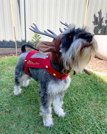 Reindeer Dog Pet Christmas Costume