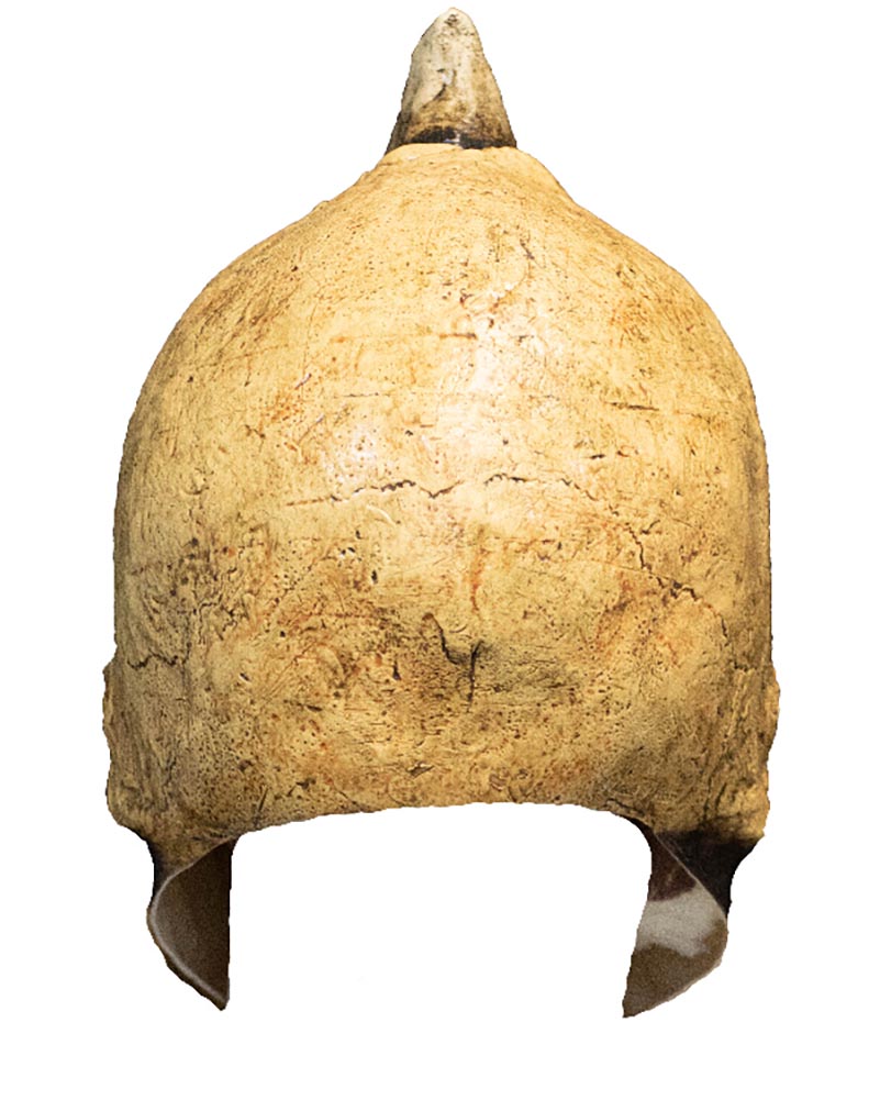 Skeleton Creature Overhead Mask