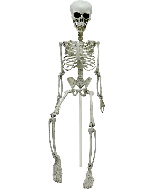 Skeleton Lawn Stake 74cm