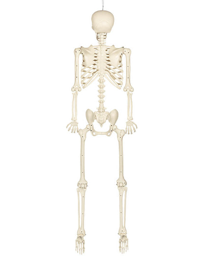 Skeleton Skinny Halloween Decoration 1.6m