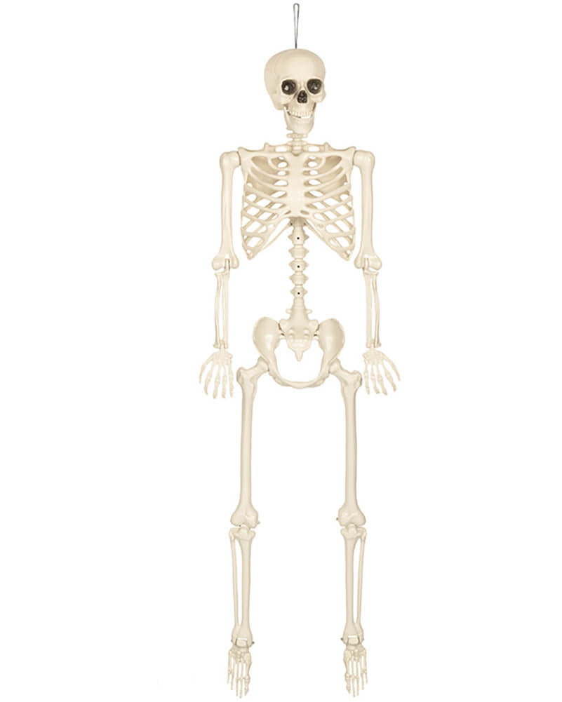 Skeleton Skinny Halloween Decoration 1.6m