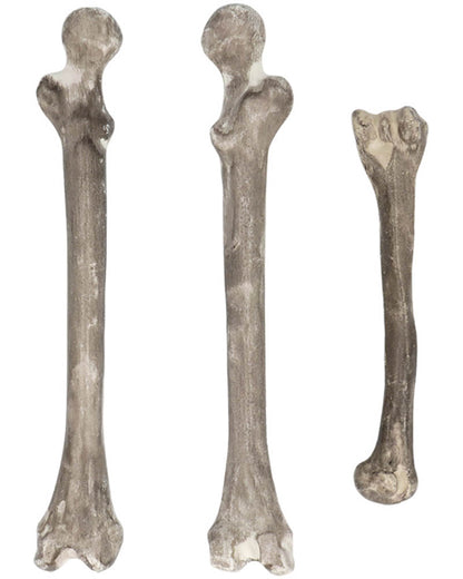 Skull and Bones Pack of 6 For Halloween