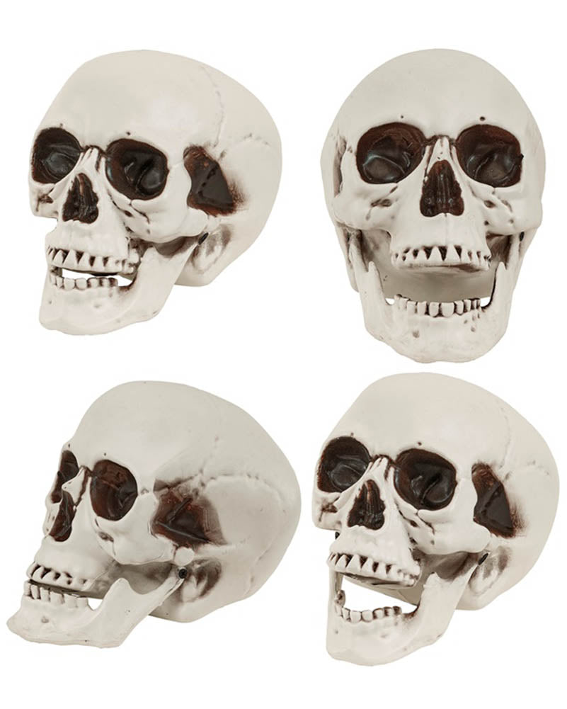 Skull With Movable Jaw 28cm