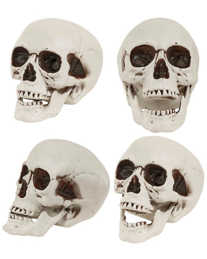Skull With Movable Jaw 28cm