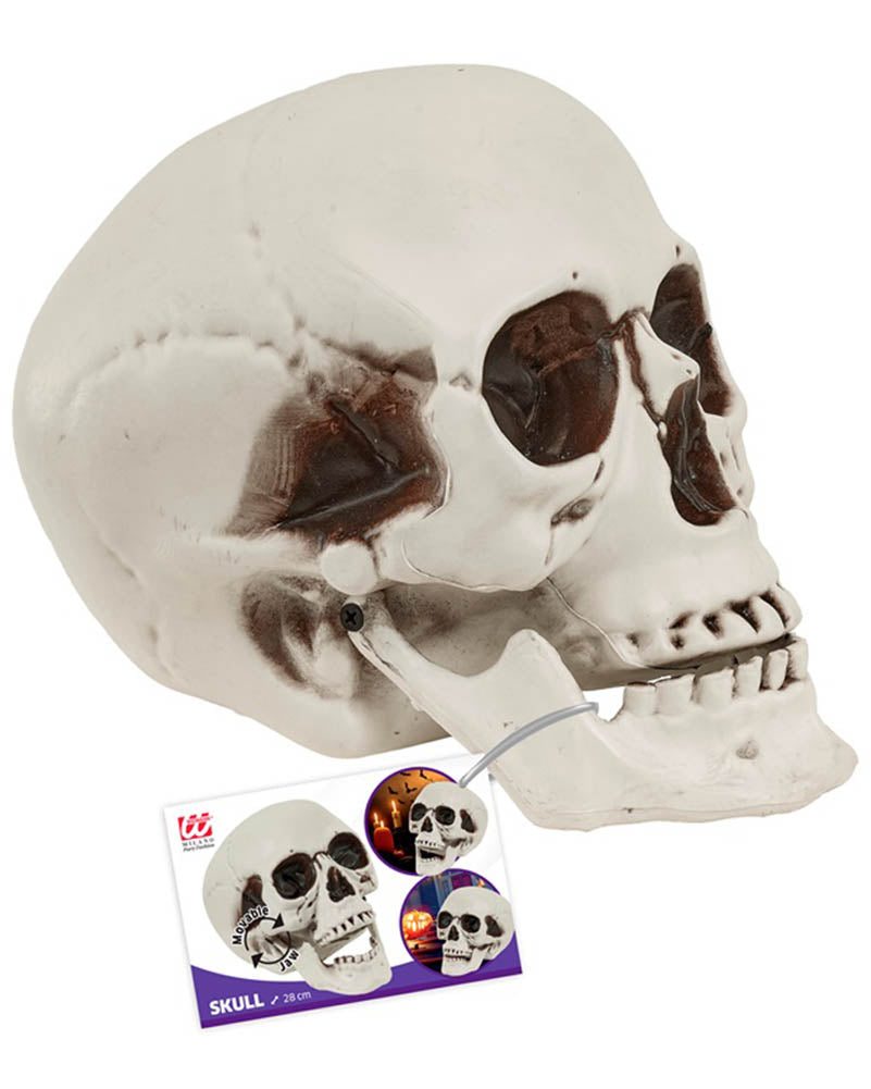 Skull With Movable Jaw 28cm