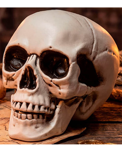 Skull With Movable Jaw 28cm