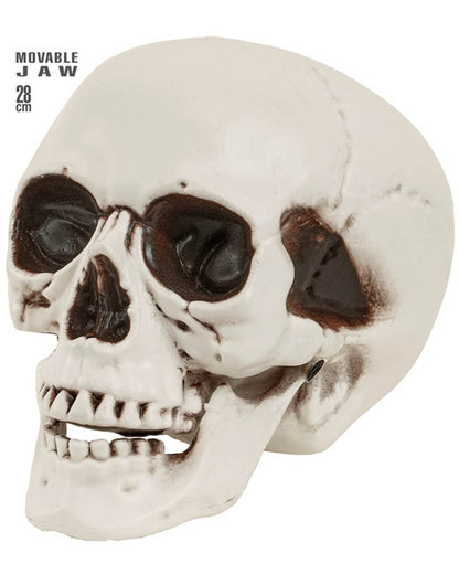 Skull With Movable Jaw 28cm