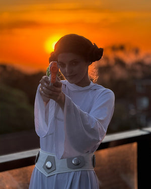 Star Wars Deluxe Princess Leia Womens Costume