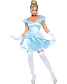 Storybook Cinderella Womens Halloween Costume