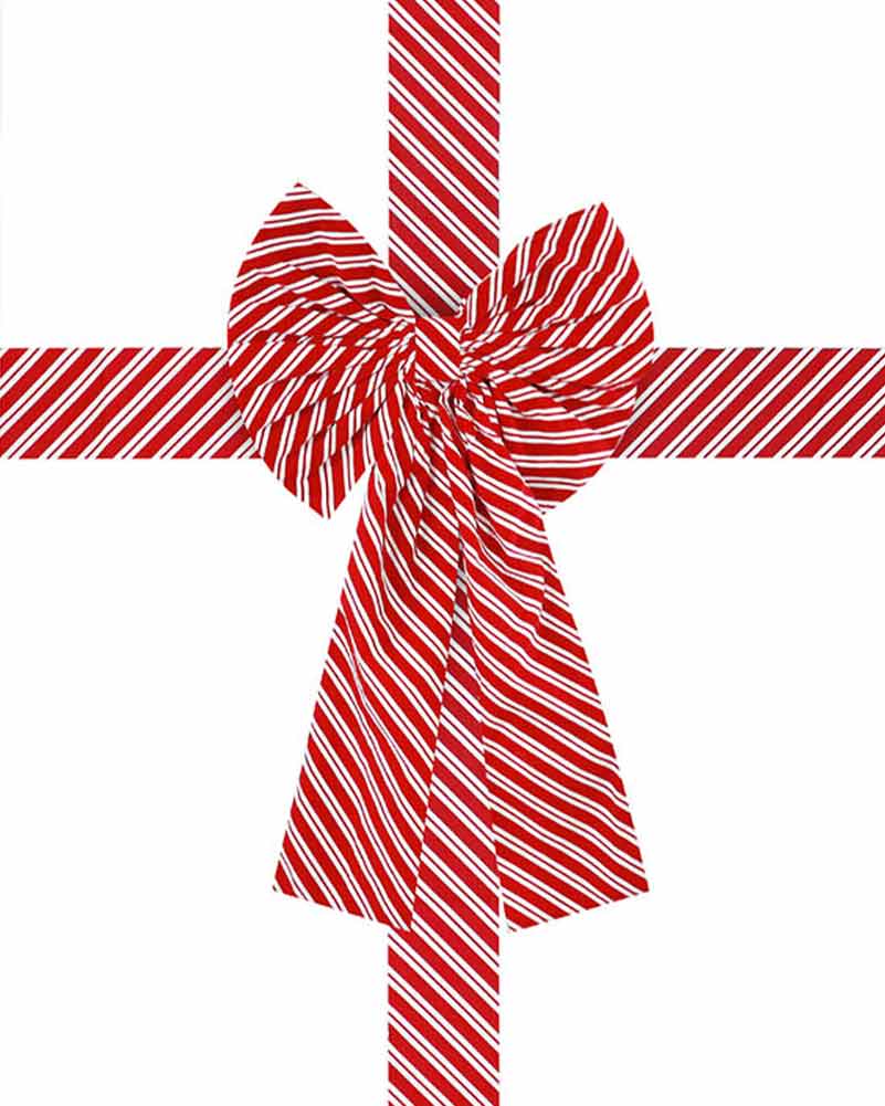 Stripe Door Bow and Sash Christmas Set
