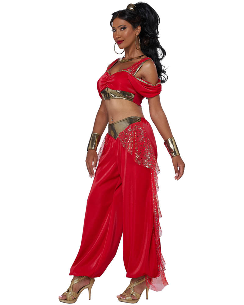 Sultry Arabian Princess Womens Costume