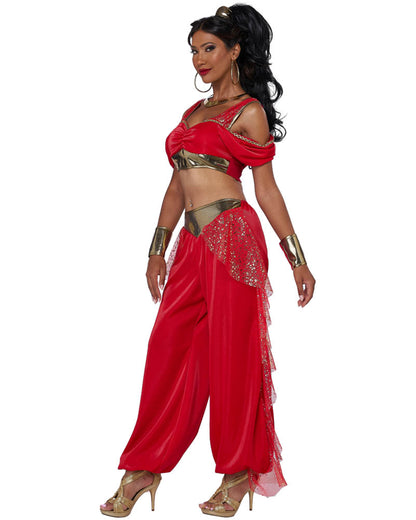 Sultry Arabian Princess Womens Costume