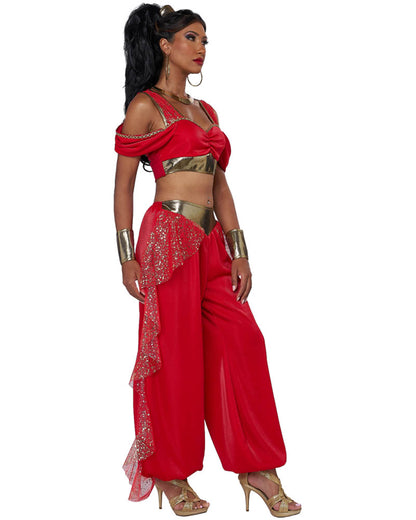 Sultry Arabian Princess Womens Costume