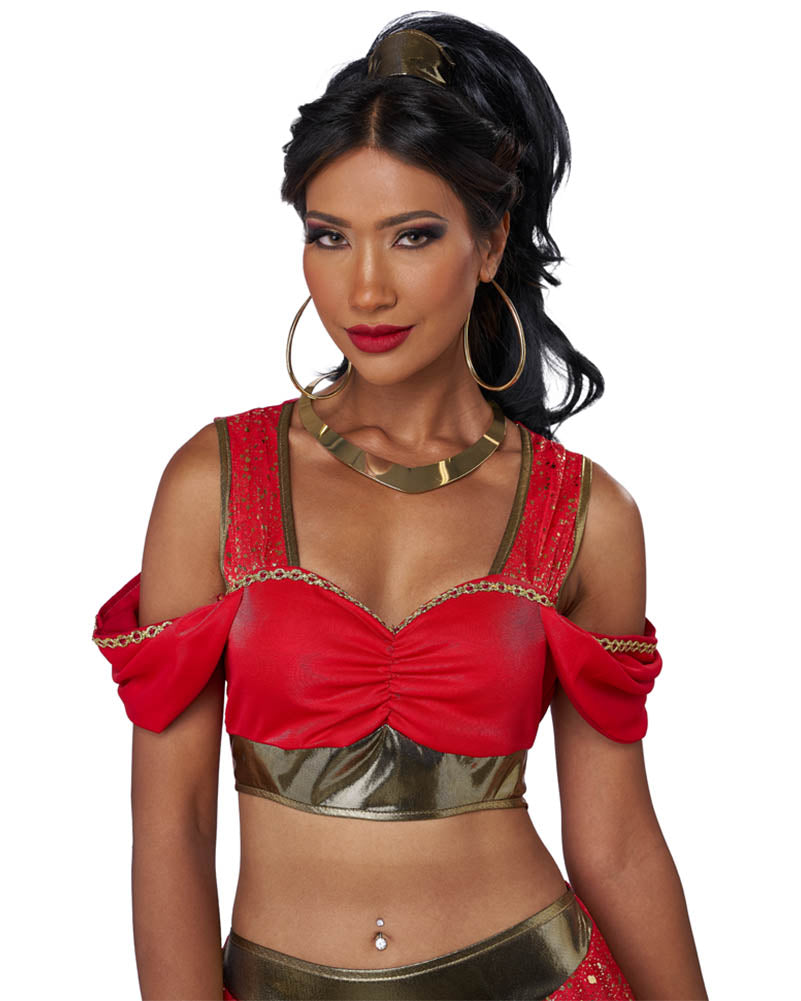 Sultry Arabian Princess Womens Costume
