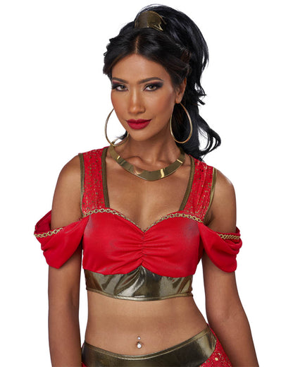 Sultry Arabian Princess Womens Costume