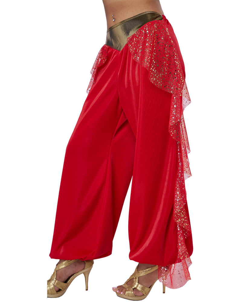 Sultry Arabian Princess Womens Costume