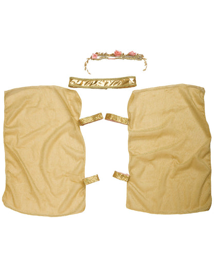 Sun Goddess Girls Costume
