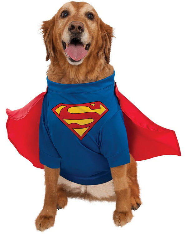 Dog wearing a Superman costume with cape on a white background