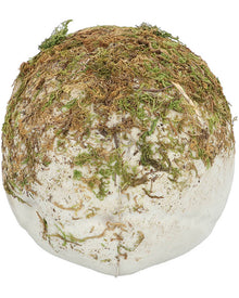 Swamp Skull 19cm For Halloween
