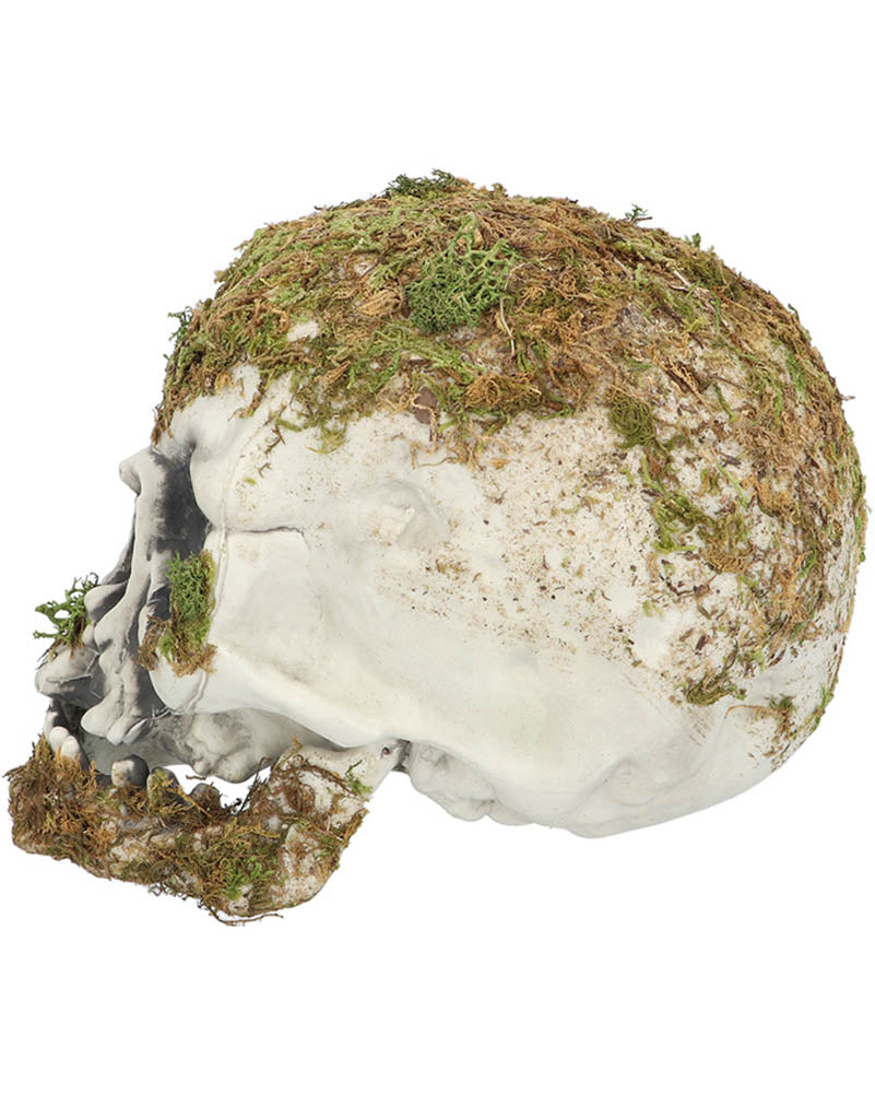 Swamp Skull 19cm For Halloween