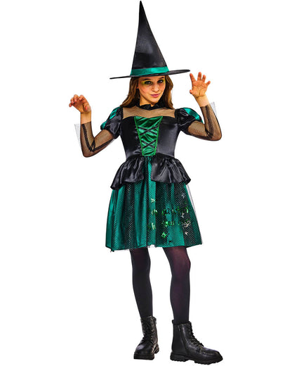 The Wizard Of Oz Wicked Witch Deluxe Girls Costume