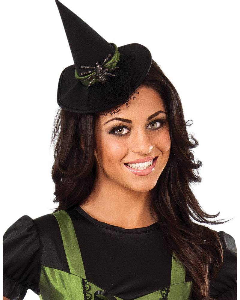 The Wizard of Oz Wicked Witch of the West Deluxe Womens Book Week Cost ...