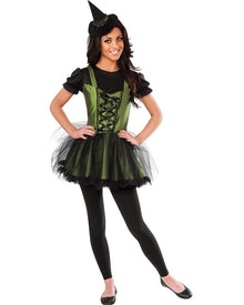 The Wizard of Oz Wicked Witch of the West Deluxe Womens Costume