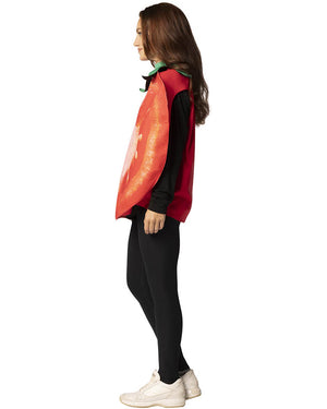 Tomato Slice Adult Costume