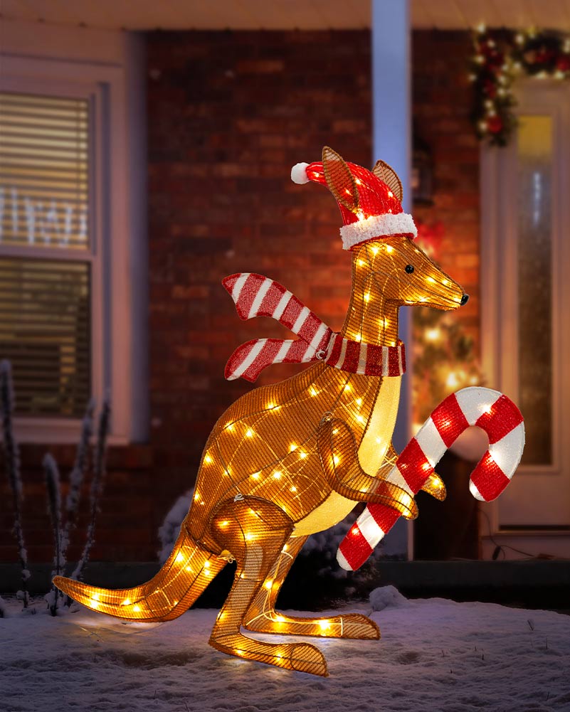 Twinkle Mesh Christmas LED Kangaroo With Cane 1m