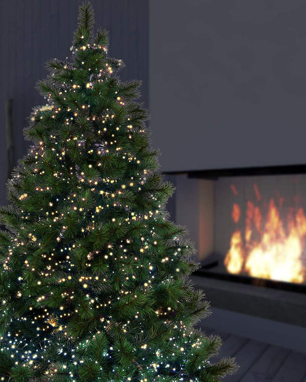 Warm White 2000 Piece LED Tree Christmas Lights 50m