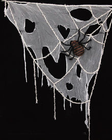 Window Spiderweb With Spider 2m For Halloween
