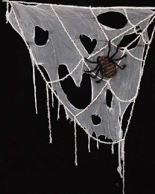 Window Spiderweb With Spider 2m