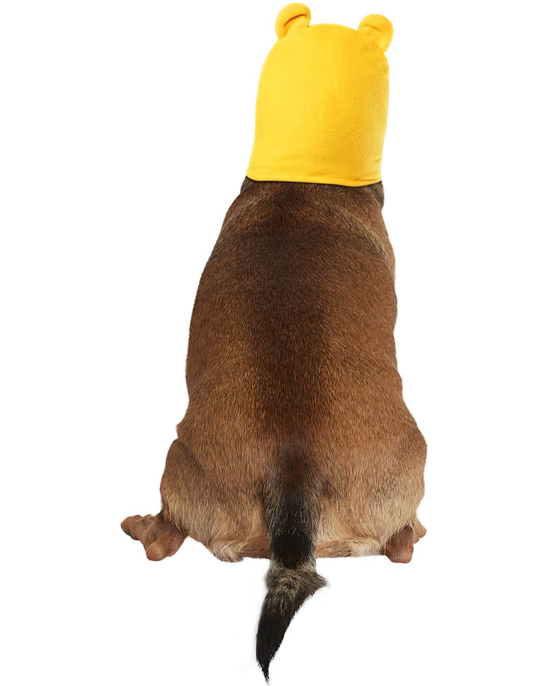 Winnie The Pooh Pet Hoodie