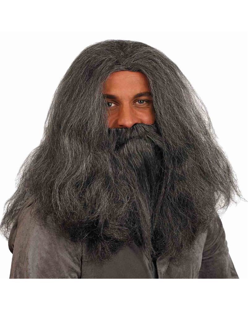 Wizard Wig and Beard Book Week Accessory Set