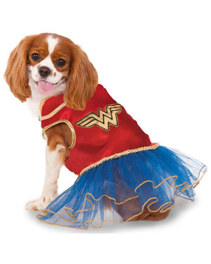 Dog wearing a Wonder Woman costume on a white background