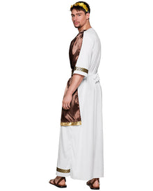Zeus Mens Costume