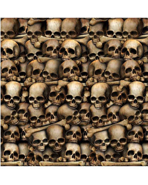 Catacombs Skulls Backdrop 9.1m
