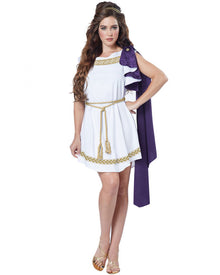 Grecian Toga Womens Costume