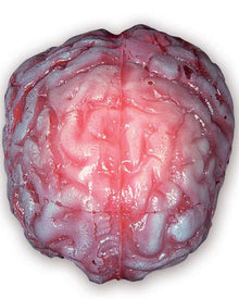 Colour Changing Realistic Brain For Halloween